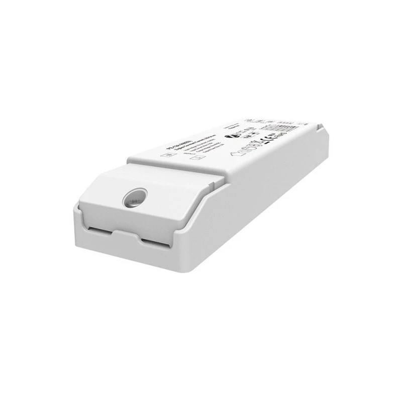 2CH CCT ZigBee 3.0 LED డ్రైవర్ స్థిరమైన కరెంట్ (150-450mA)